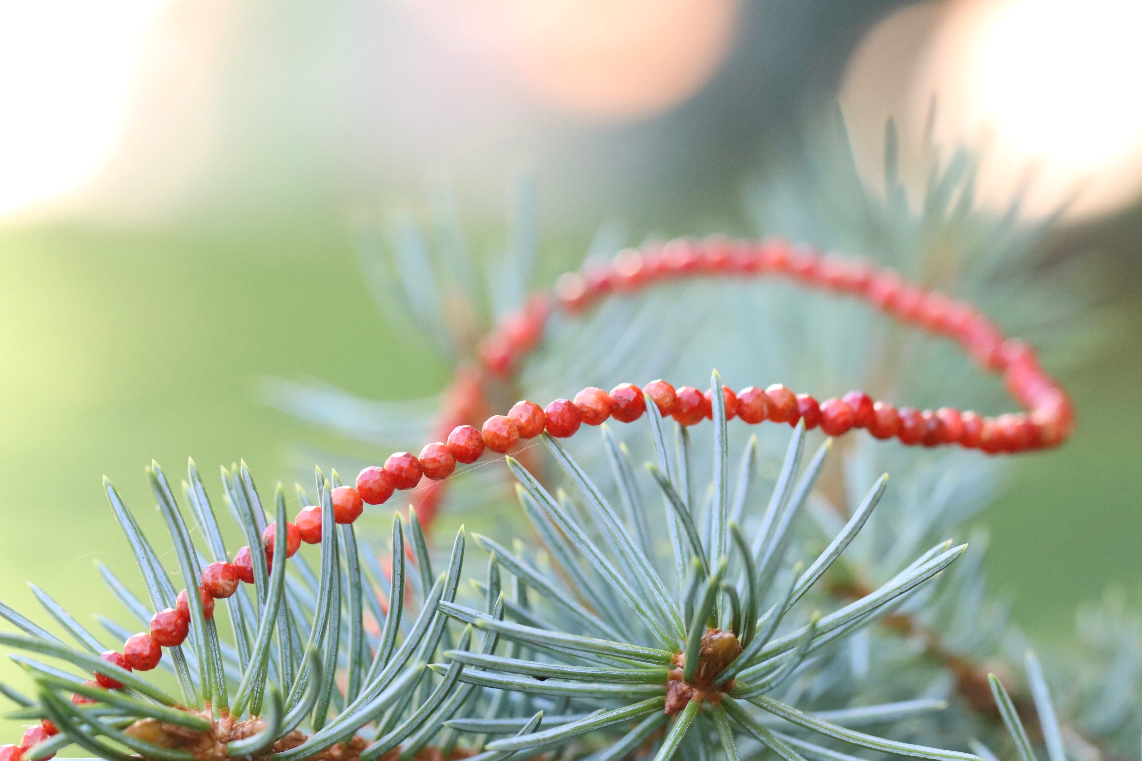 Gemstones, Wood, Pearls & More: what’s the difference - and do they all hold energy?